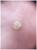 Иллюстрация к книге — Подология понятно. Важен каждый шаг. Справочник по проблемам подологии для клиентов и мастеров эстетики [i_076.jpg]