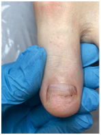 Иллюстрация к книге — Подология понятно. Важен каждый шаг. Справочник по проблемам подологии для клиентов и мастеров эстетики [i_212.jpg]