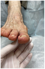 Иллюстрация к книге — Подология понятно. Важен каждый шаг. Справочник по проблемам подологии для клиентов и мастеров эстетики [i_270.jpg]