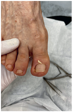 Иллюстрация к книге — Подология понятно. Важен каждый шаг. Справочник по проблемам подологии для клиентов и мастеров эстетики [i_271.jpg]