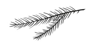 Иллюстрация к книге — Охота на маленькую щуку [i_001.jpg]