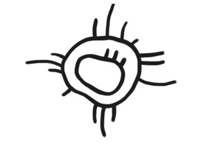 Иллюстрация к книге — Охота на маленькую щуку [i_003.jpg]