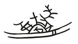 Иллюстрация к книге — Охота на маленькую щуку [i_008.jpg]