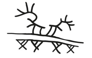 Иллюстрация к книге — Охота на маленькую щуку [i_015.jpg]