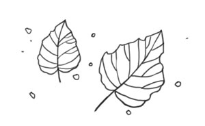 Иллюстрация к книге — Охота на маленькую щуку [i_021.jpg]