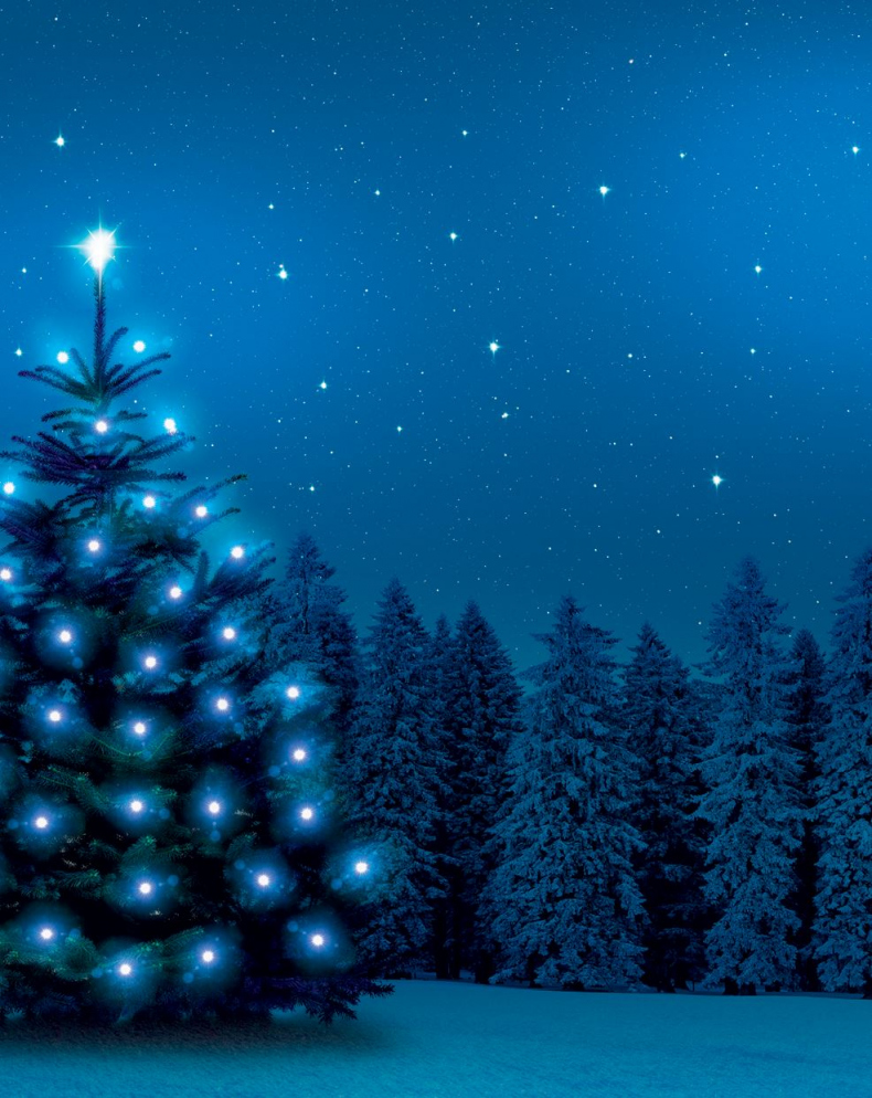 Иллюстрация к книге — Кёльн. Ярмарка чудес [i_006.jpg]