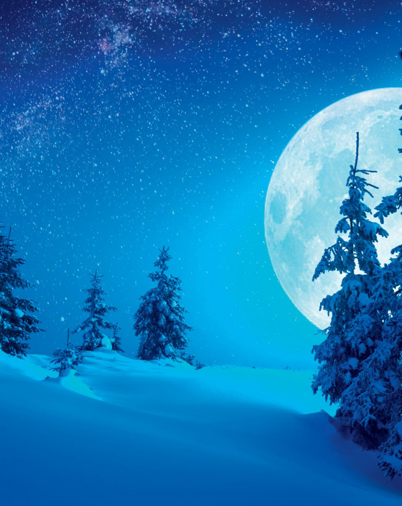 Иллюстрация к книге — Кёльн. Ярмарка чудес [i_013.jpg]