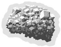 Иллюстрация к книге — Молния. История о Мэри Эннинг [i_005.jpg]