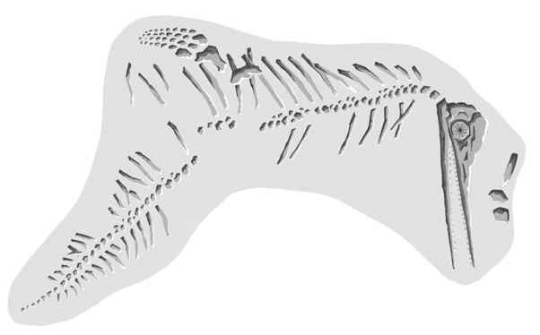 Иллюстрация к книге — Молния. История о Мэри Эннинг [i_008.jpg]