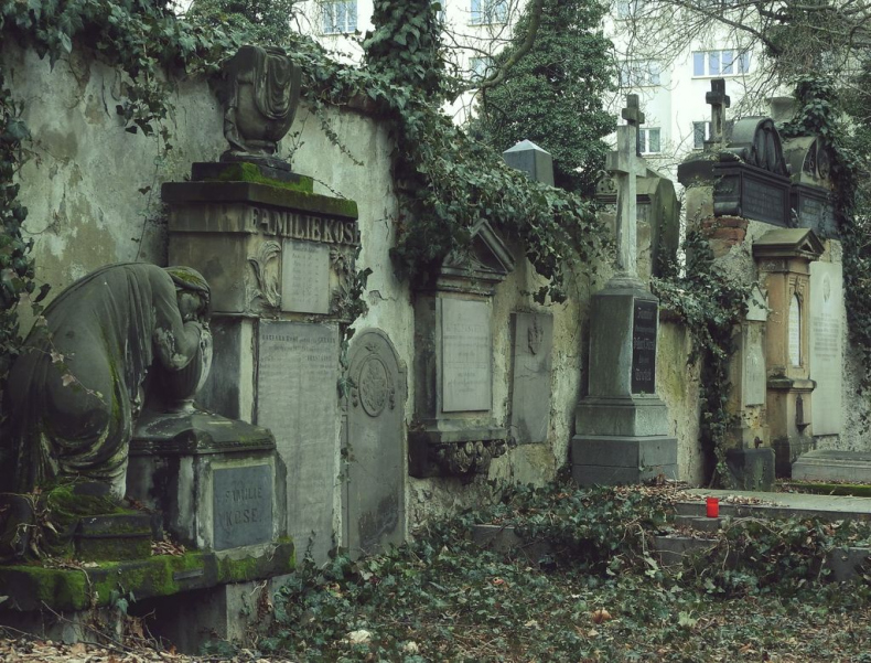 Иллюстрация к книге — (Не) по любви [_21.jpg]