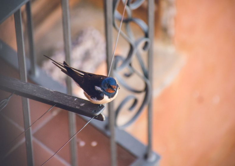 Иллюстрация к книге — Романтичные сказки [_2.jpg]