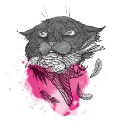 Иллюстрация к книге — Чернила под кожей [i_009.jpg]