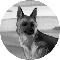 Иллюстрация к книге — Мальчик и пёс [i_001.jpg]