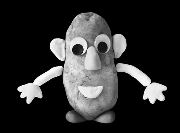 Иллюстрация к книге — Живой мозг. Удивительные факты о нейропластичности и возможностях мозга [img_12.jpg]