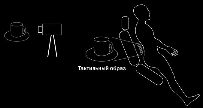 Иллюстрация к книге — Живой мозг. Удивительные факты о нейропластичности и возможностях мозга [img_17.jpg]