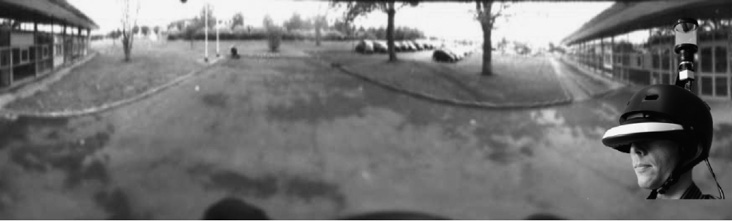 Иллюстрация к книге — Живой мозг. Удивительные факты о нейропластичности и возможностях мозга [img_27.jpg]