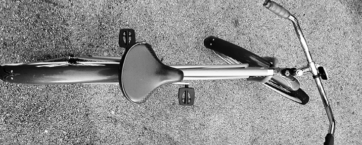 Иллюстрация к книге — Живой мозг. Удивительные факты о нейропластичности и возможностях мозга [img_36.jpg]