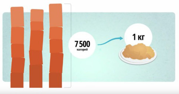 Иллюстрация к книге — 9 шагов здоровой потери веса. Наука похудения без мифов и голодовки [image3_5e9d652e6e87300700f4be6d_jpg.jpg]