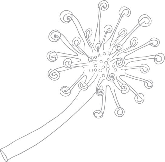 Иллюстрация к книге — Токсичные родители. Как вернуть себе нормальную жизнь [i_002.jpg]