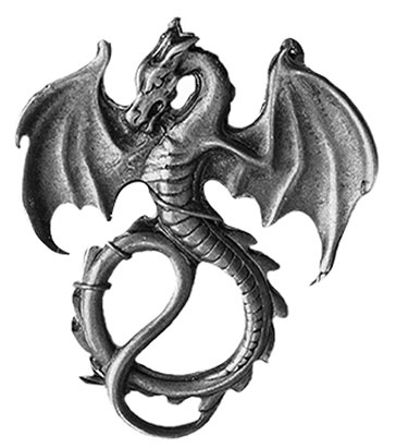 Иллюстрация к книге — Ярость огня [i_001.jpg]