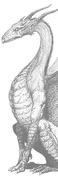 Иллюстрация к книге — Ярость огня [i_002.jpg]