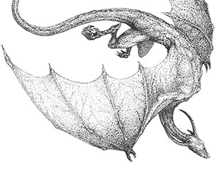 Иллюстрация к книге — Ярость огня [i_032.jpg]