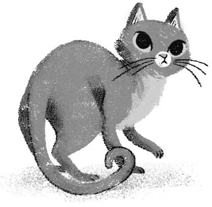 Иллюстрация к книге — Девочка, приручившая Тьму [i_011.jpg]