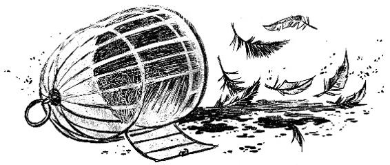 Иллюстрация к книге — Кошачья голова [i_020.jpg]