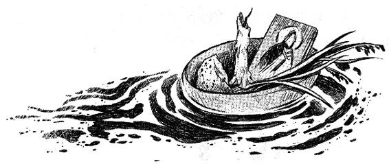 Иллюстрация к книге — Кошачья голова [i_052.jpg]