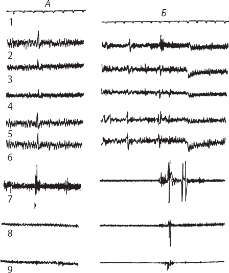 Иллюстрация к книге — Мотивированный мозг. Высшая нервная деятельность и естественно-научные основы общей психологии [i_008.jpg]