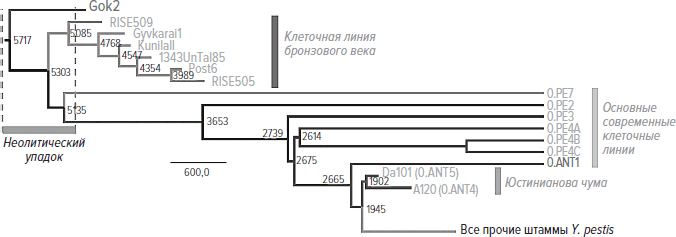 Иллюстрация к книге — Memento mori. История человеческих достижений в борьбе с неизбежным [i_024.jpg]