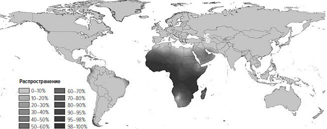 Иллюстрация к книге — Memento mori. История человеческих достижений в борьбе с неизбежным [i_029.jpg]
