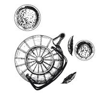 Иллюстрация к книге — Алые сердца [i_015.jpg]