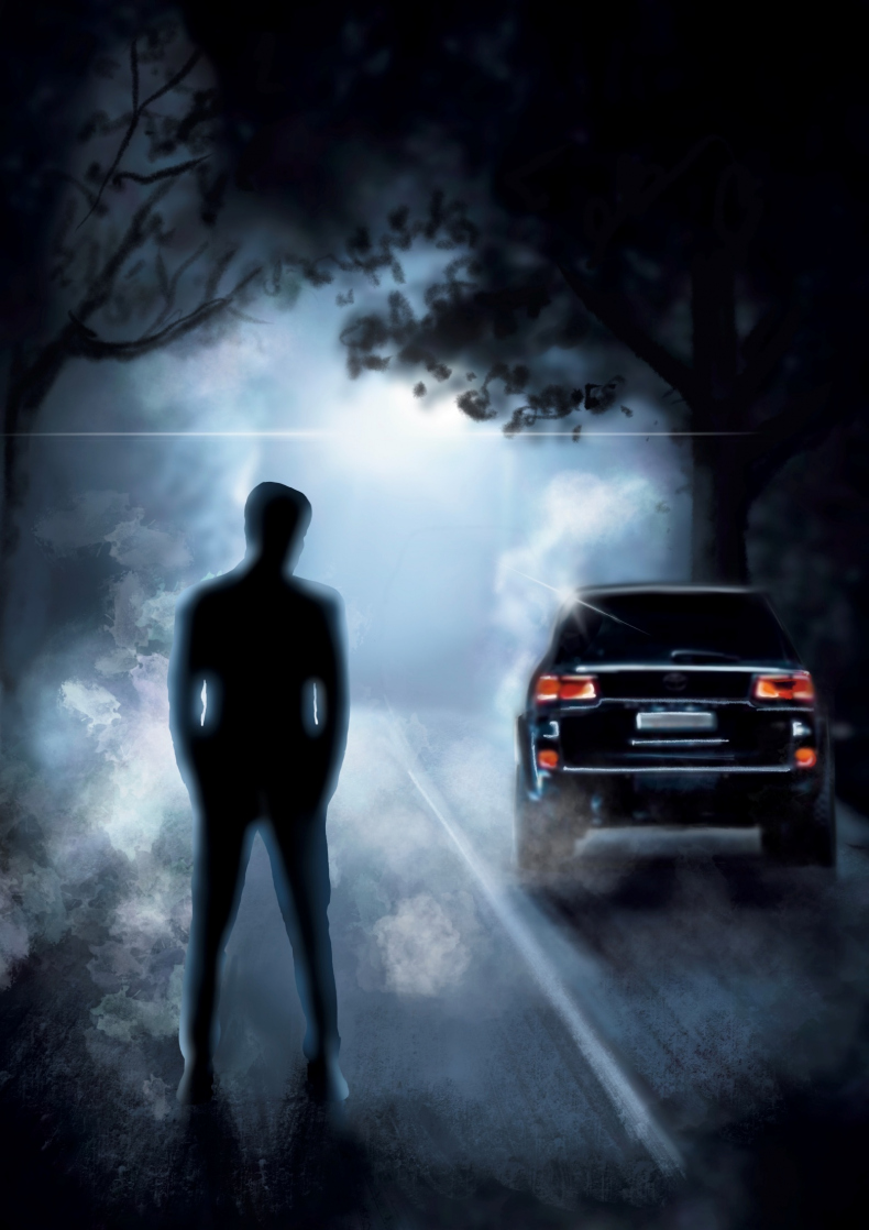 Иллюстрация к книге — Девочка Серого [_7.jpg]