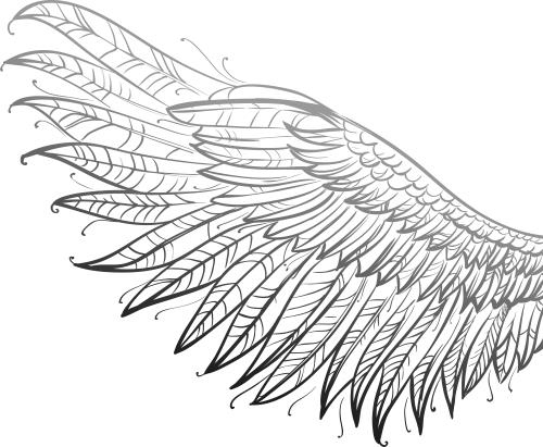 Иллюстрация к книге — Сердце из тьмы и тумана [i_007.jpg]