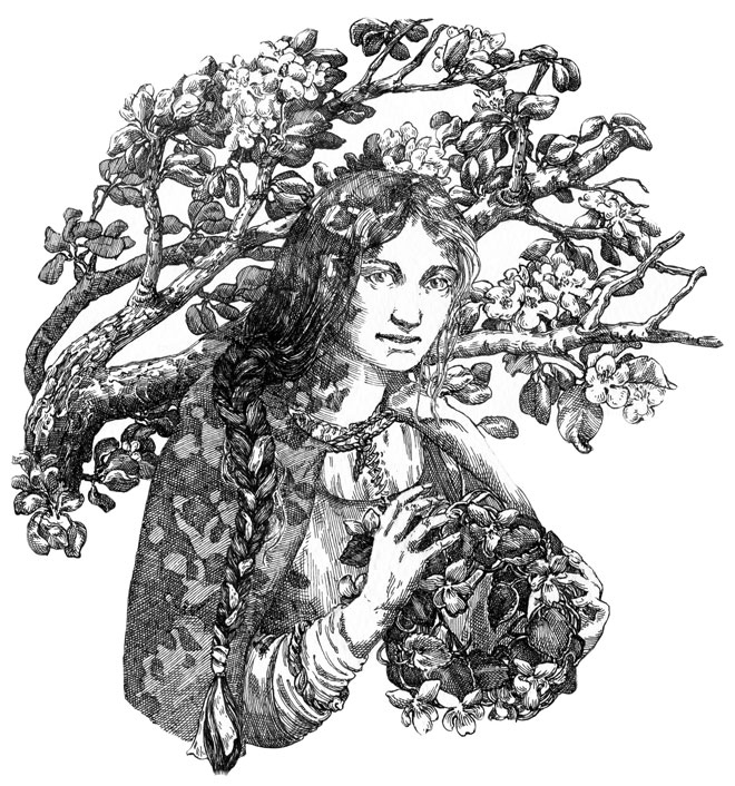 Иллюстрация к книге — Демонология Сангомара. Наследие вампиров [i_006.jpg]