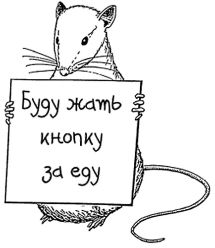 Иллюстрация к книге — Революция в голове. Как новые нервные клетки омолаживают мозг [i_018.jpg]