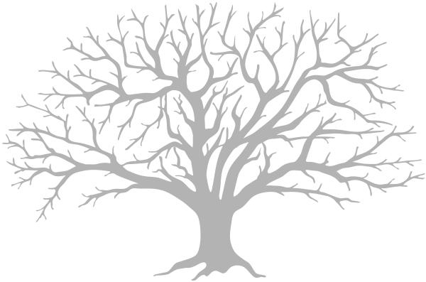 Иллюстрация к книге — Ткачиха теней [i_001.jpg]