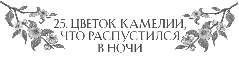Иллюстрация к книге — Сон в тысячу лет [i_038.jpg]