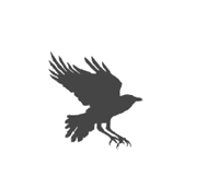 Иллюстрация к книге — Вихрь колдовства [i_005.jpg]