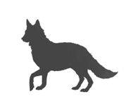 Иллюстрация к книге — Вихрь колдовства [i_011.jpg]