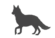 Иллюстрация к книге — Вихрь колдовства [i_030.jpg]