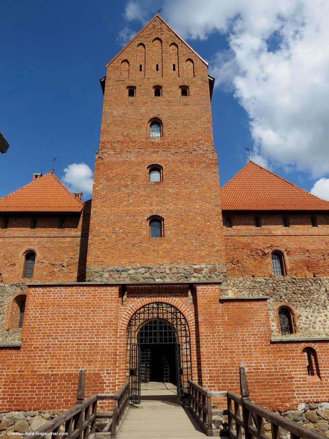 Иллюстрация к книге — Шерловая искра [_2bddc5d16c4c7021bced9ba0a94acf34.jpg]