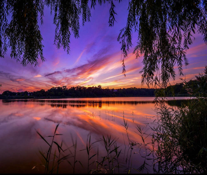 Иллюстрация к книге — Шерловая искра [_358421a9abfef5c48aa30c5c6cf0dd3c.jpg]