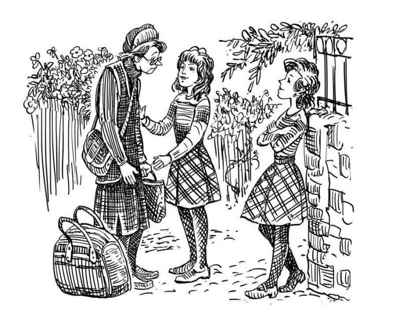 Иллюстрация к книге — Новенькая в школе Сент-Клэр [i_051.jpg]