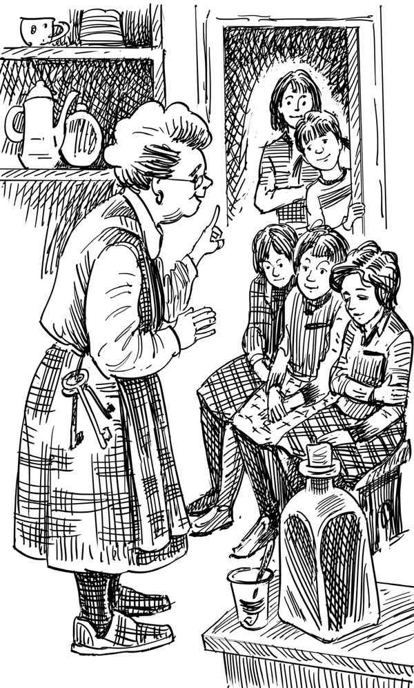 Иллюстрация к книге — Новые друзья близнецов в школе Сент-Клэр [i_030.jpg]