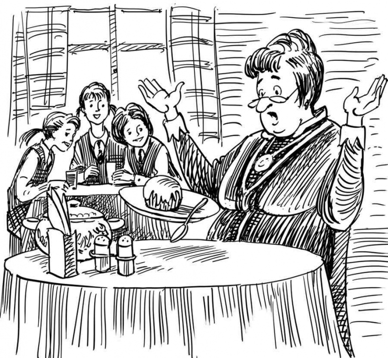 Иллюстрация к книге — Новые друзья близнецов в школе Сент-Клэр [i_054.jpg]