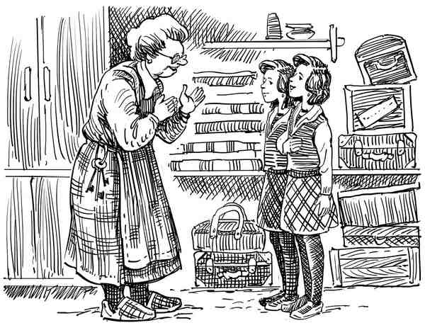 Иллюстрация к книге — Летние приключения близнецов в школе Сент-Клэр [i_006.jpg]