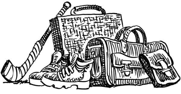 Иллюстрация к книге — Близнецы в школе Сент-Клэр [i_029.jpg]