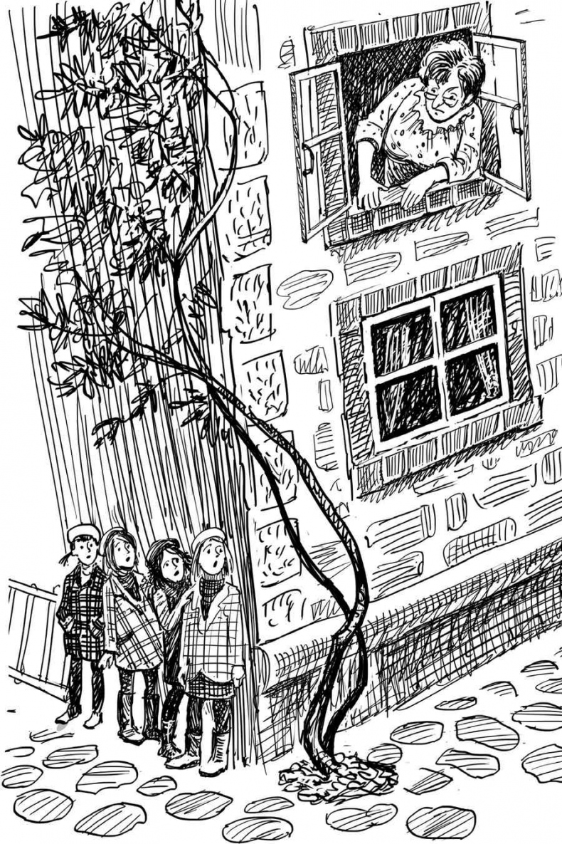 Иллюстрация к книге — Близнецы в школе Сент-Клэр [i_033.jpg]